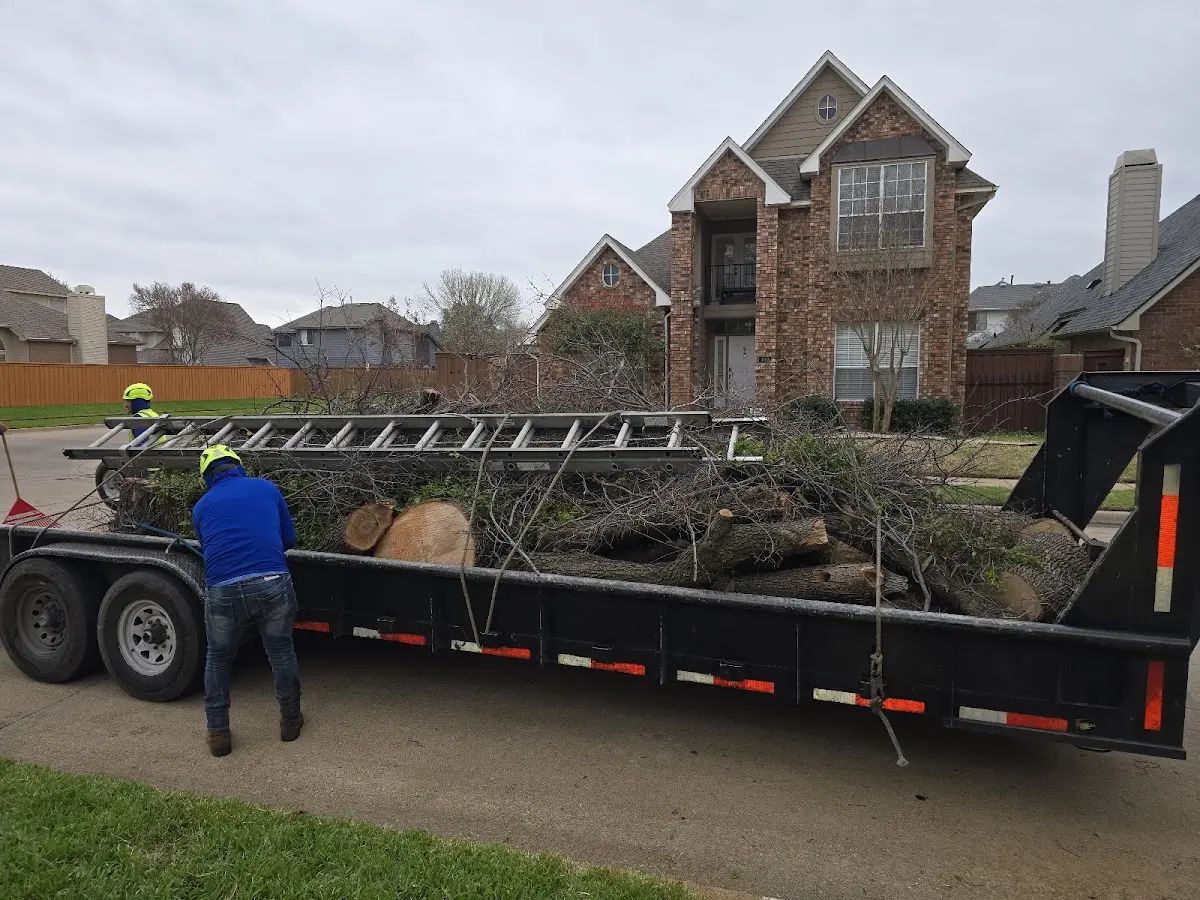 Expert Tree Removal with proper safety equipment in Danville
